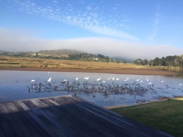 Moonriver Self Catering Plettenberg Bay Exterior foto